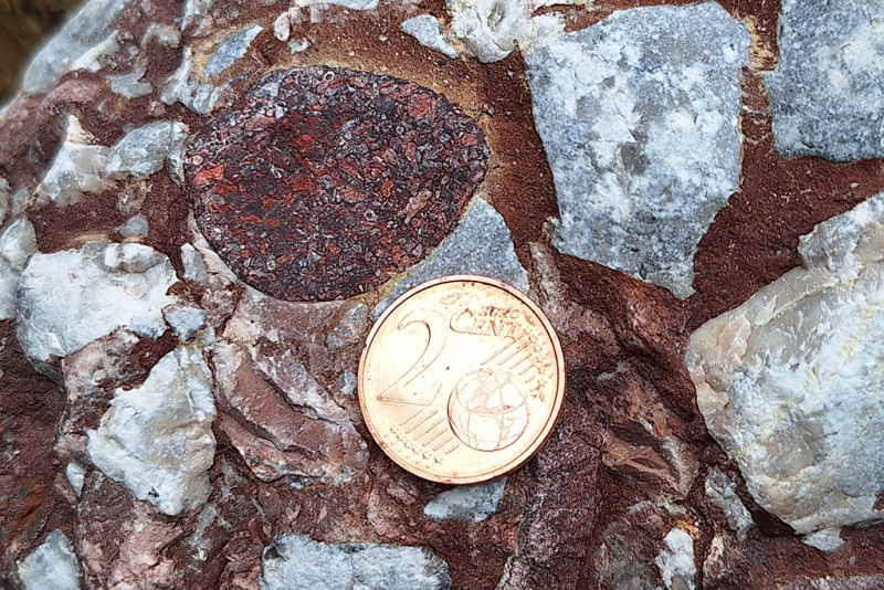 Breccia with Hematite Stained Clast