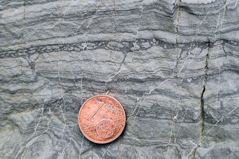 Dessication-Induced Broken Laminae