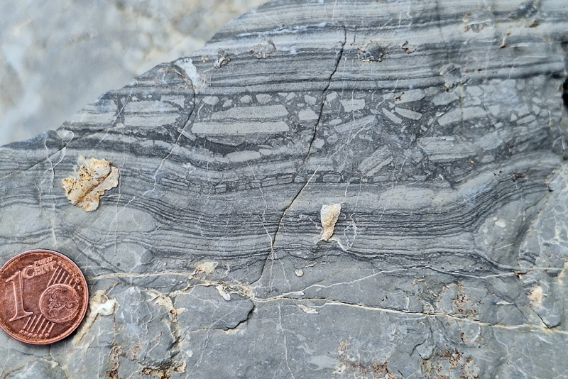 Desiccation-Induced Broken Laminae and Diagenetic Concretions