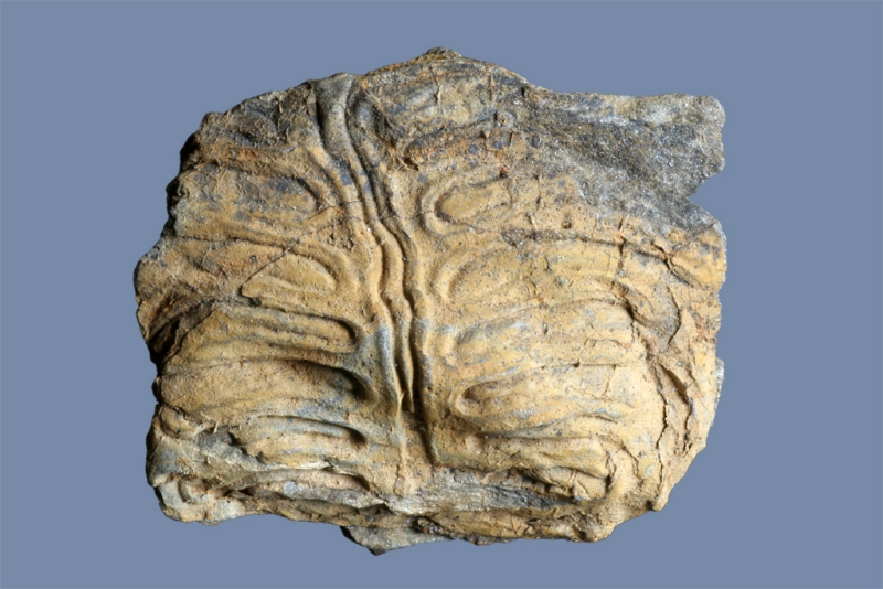 Eolyttonia karawankensis