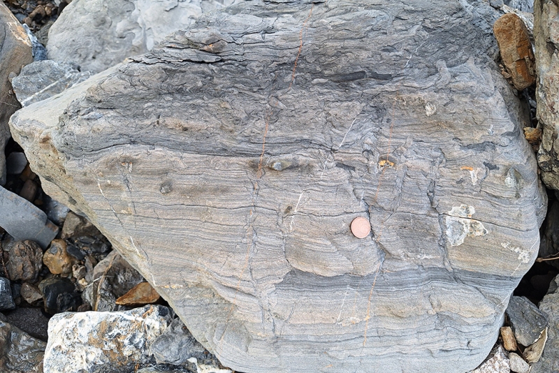 Lamination Disrupted by Infaunal Activity