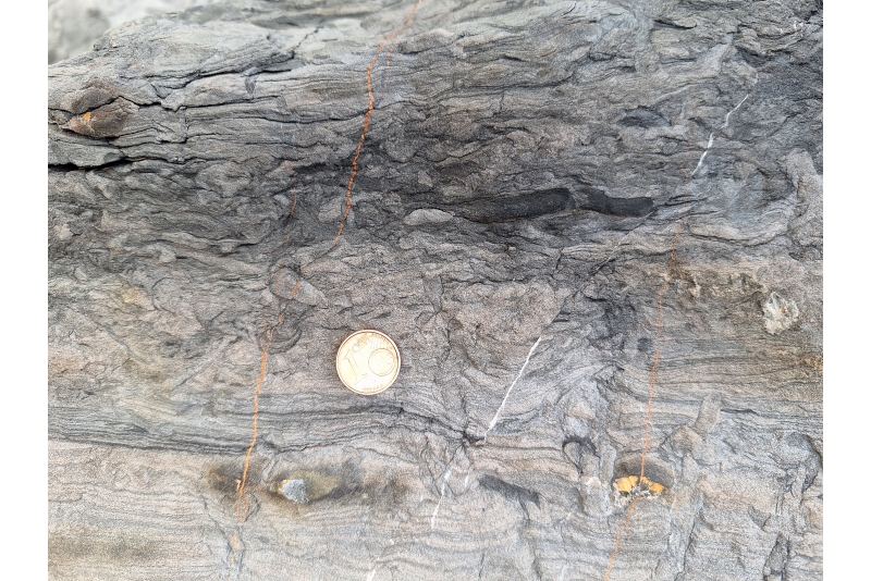 Lamination Disrupted by Infaunal Activity