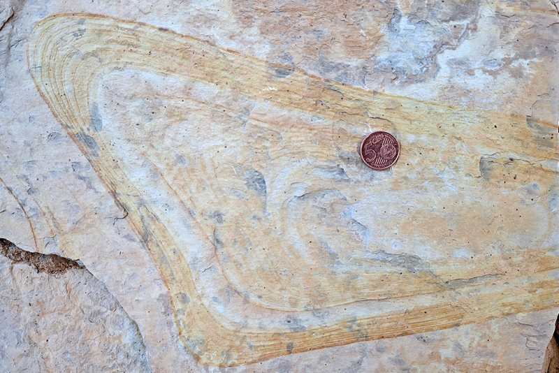 Liesegang Bands in Triassic Marlstone