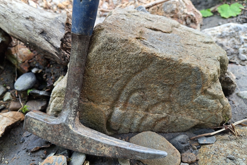 Meandering Trace Fossil