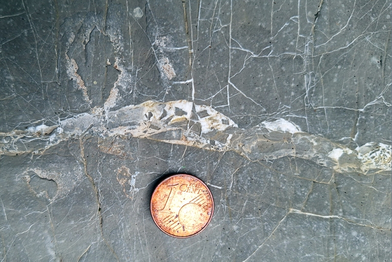 Minor Fault with Angular Clasts