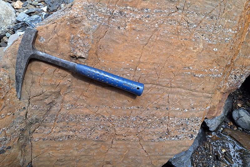 Planar Parallel Bedding