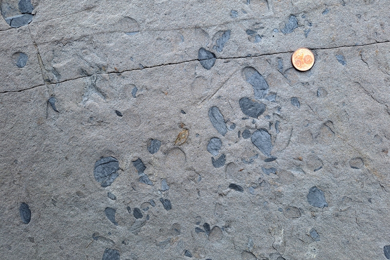 Shale Rip-up Clasts