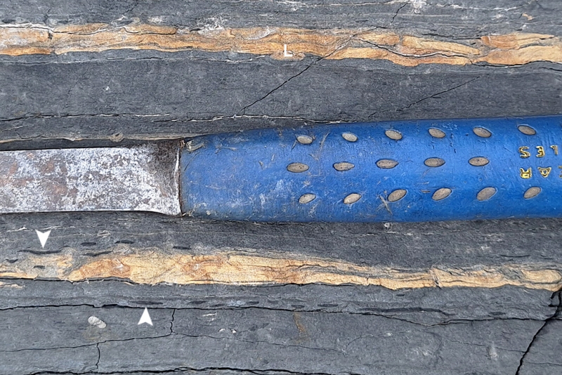 Storm-Deposited Lenses