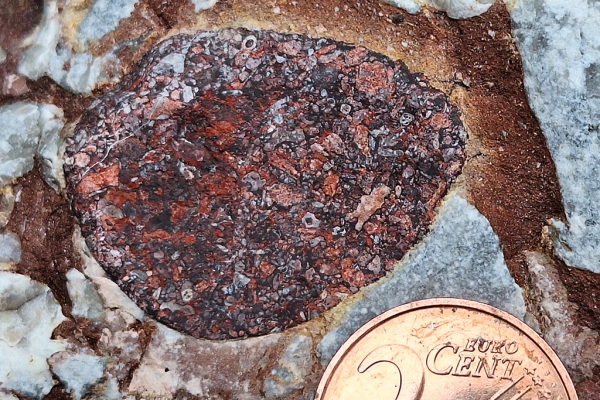 Breccia with Hematite Stained Clast