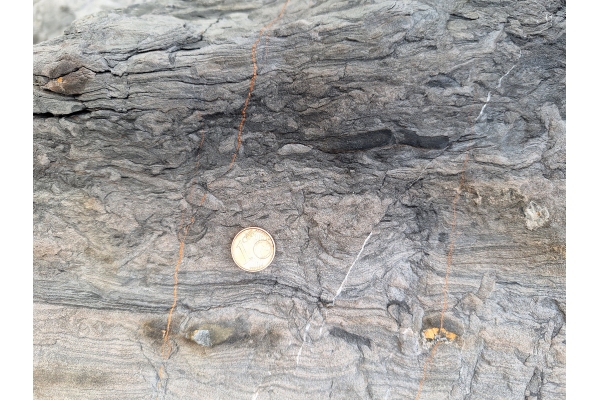 Lamination Disrupted by Infaunal Activity