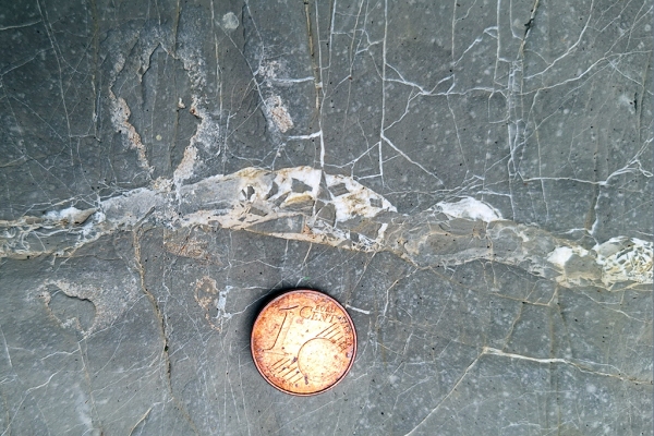 Minor Fault with Angular Clasts