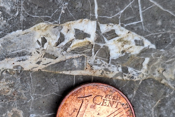 Minor Fault with Angular Clasts