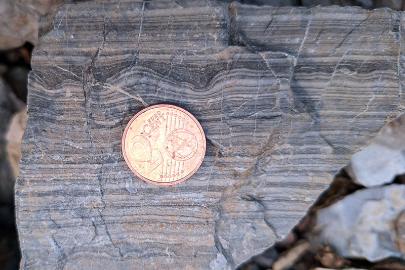 Wavy Stromatolitic Laminae