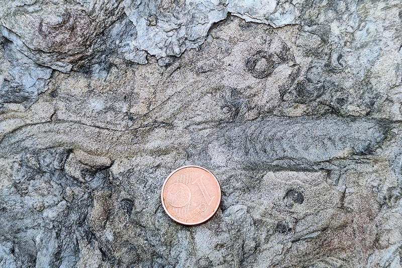 Backfill Laminae