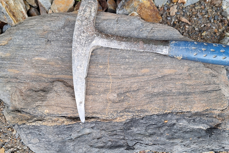 Bioturbation to Tempestite Transition