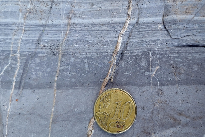 Broken Laminae and Flaser-Like Structures