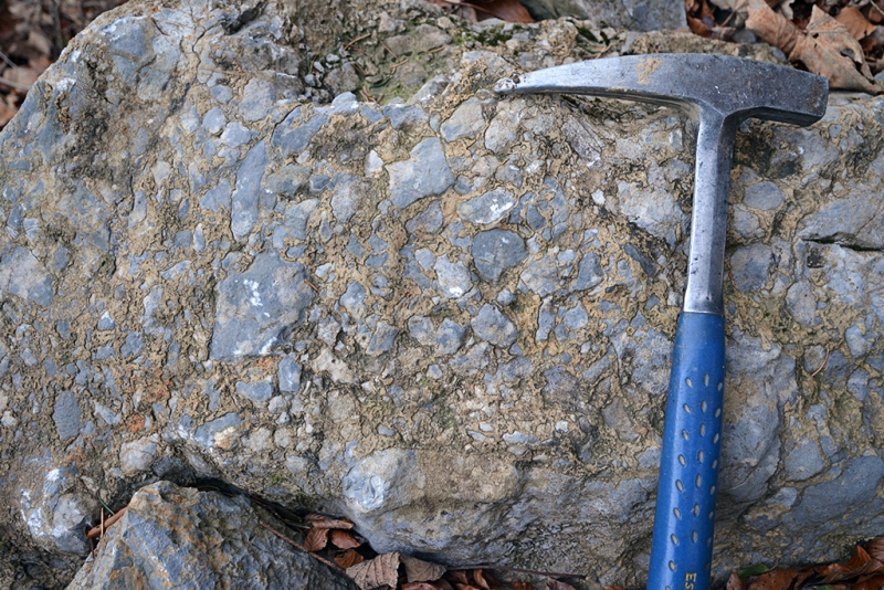 Carbonate Lithic Breccia