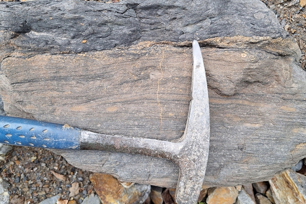 Tempestite to Bioturbated Transition