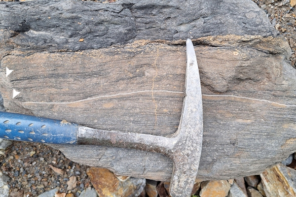 Tempestite to Bioturbated Transition